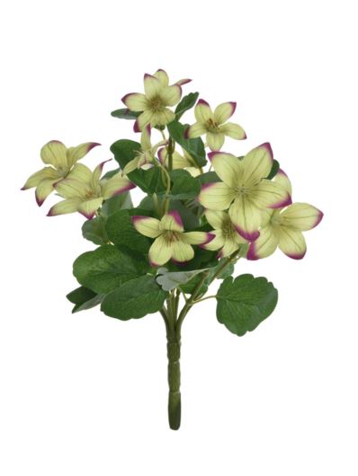 ROZWAR BUKIECIK 29CM SUN871 GREEN