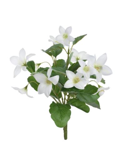 ROZWAR BUKIECIK 29CM SUN871 WHITE