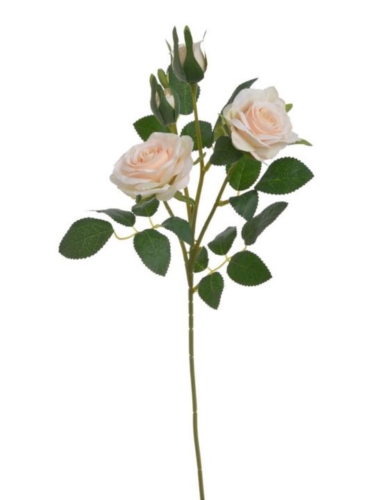 RÓŻA GAŁĄZKA 2+1 49CM APRICOT CREAM