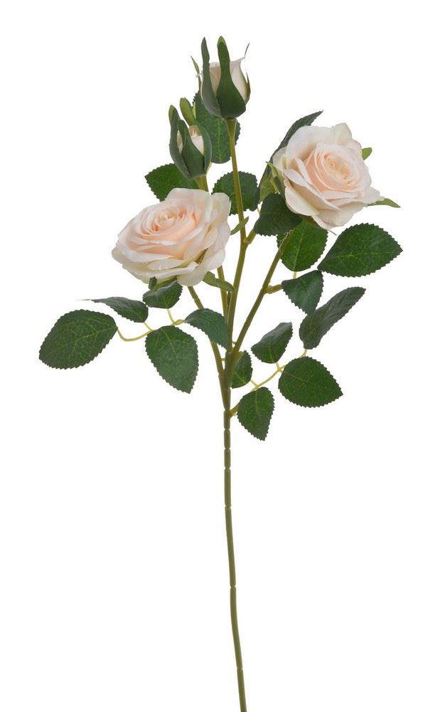 RÓŻA GAŁĄZKA 2+1 49CM APRICOT CREAM