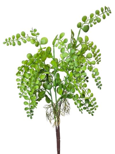 EUKALIPTUS GAŁĄZKA Z KORZENIAMI 54CM GREEN