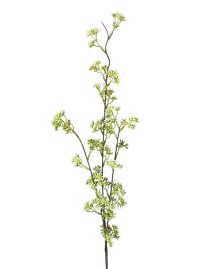 PIĘKNOTKA SKIMIA GAŁĄZKA 95CM WHITE GREEN