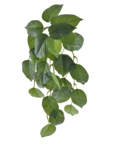 BLUSZCZYK FILODENDRON ZWIS 56CM ART IVY01 GREEN