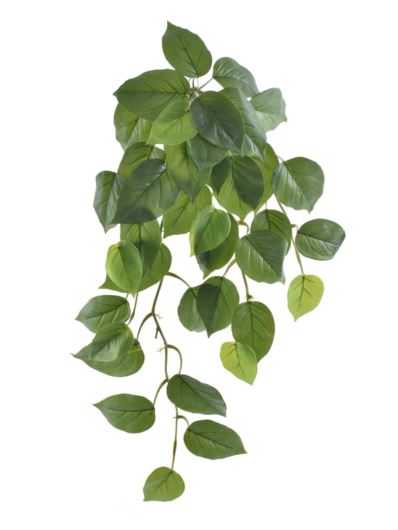 BLUSZCZYK FILODENDRON ZWIS 65CM ART IVY02 GREEN