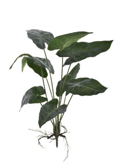 ALOCASIA MAŁA BUKIET 32CM ART IVY13 GREEN