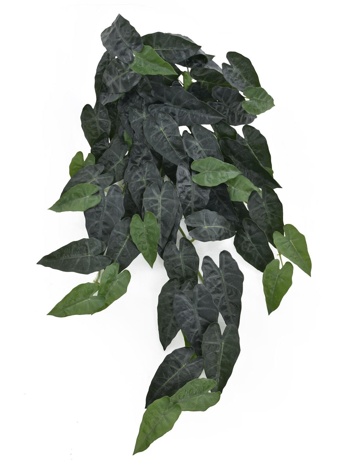 BLUSZCZ ALOKAZJA 95CM ART IVY10 DR GREEN