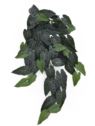 BLUSZCZ ALOKAZJA 95CM ART IVY10 DR GREEN
