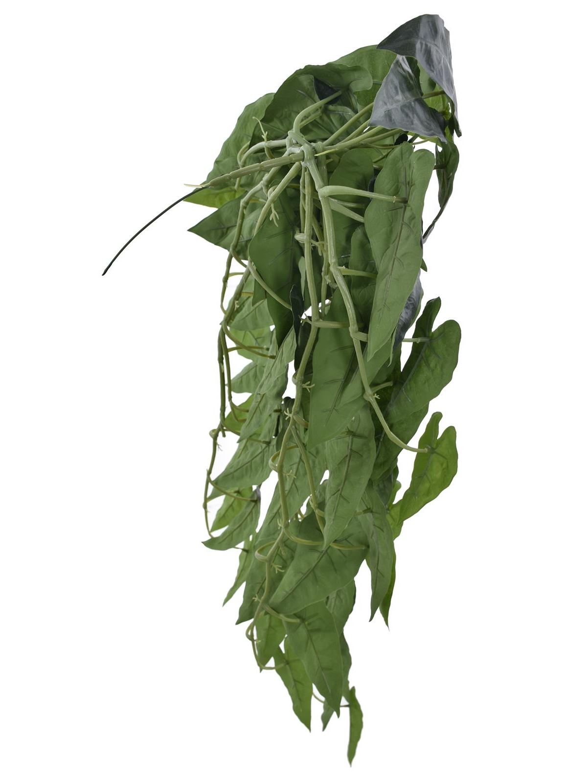 BLUSZCZ ALOKAZJA 95CM ART IVY10 DR GREEN