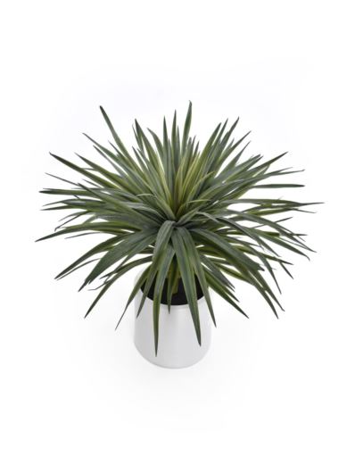 JUKA W BIAŁEJ DONICY 70CM DRA003 GREEN