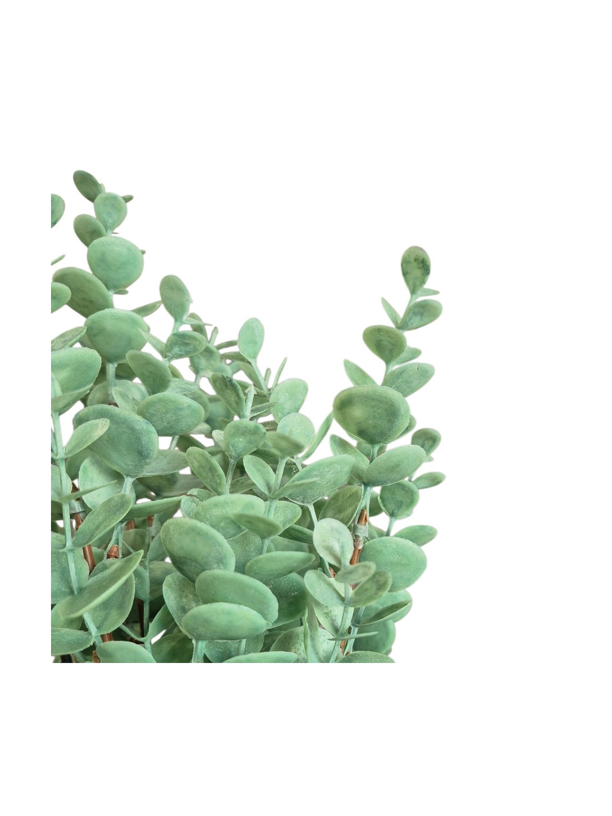 EUKALIPTUS W BUKIECIE 45CM LT POWDER GREEN