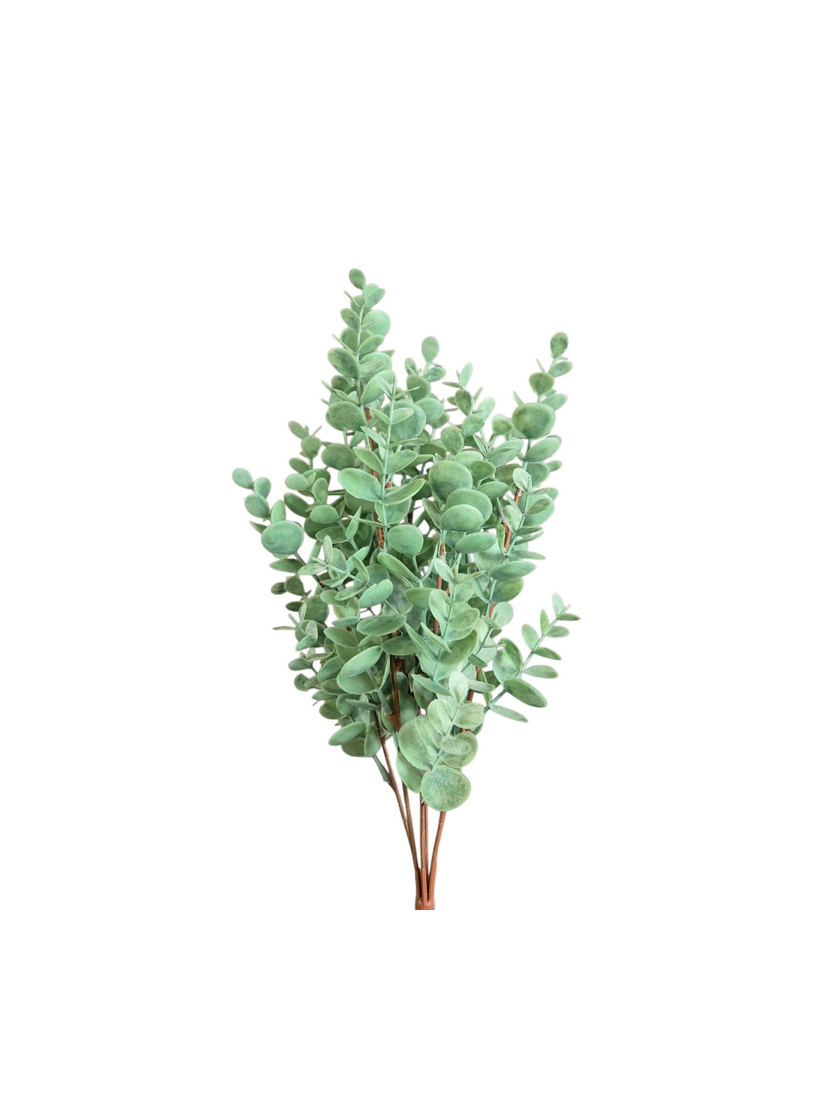 EUKALIPTUS W BUKIECIE 45CM LT POWDER GREEN