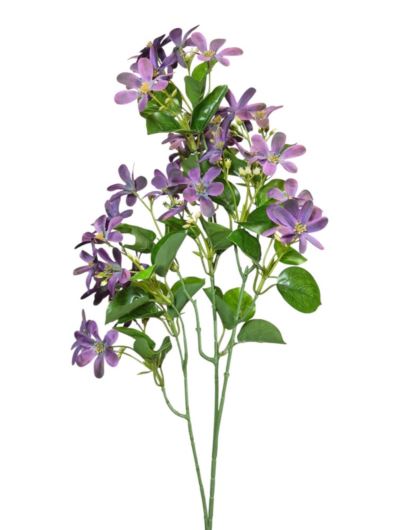 JAŚMINOWIEC GAŁĄZKA 88CM PURPLE