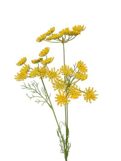 KOPER GAŁĄZKA – DODATEK VIP7718 YELLOW