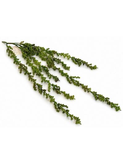 SENECIO SZNUR PEREŁ STARZEC GUMOWY 67CM GRN PINK