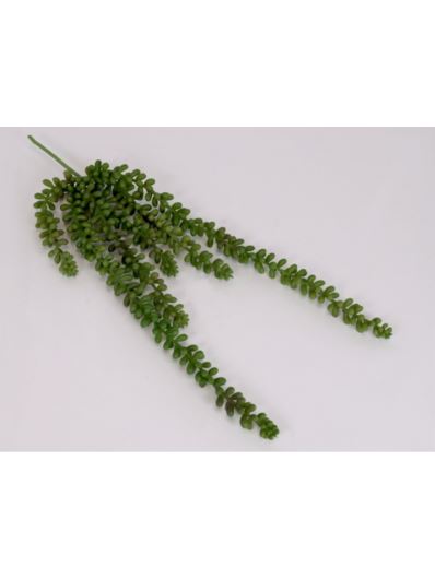 SEDUM BURRITO GUMOWY ZWIS 40CM GREEN PINK