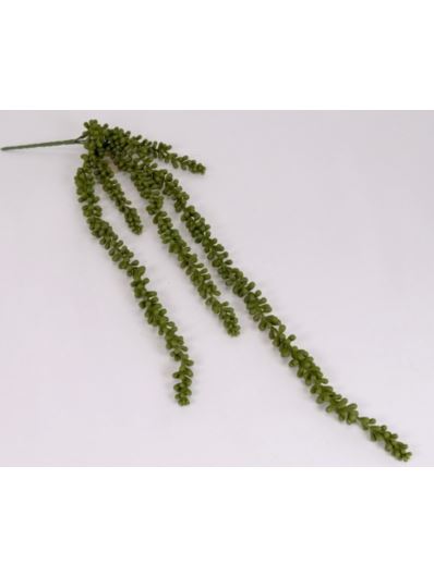 SEDUM BURRITO GUMOWY ZWIS 70CM GREEN
