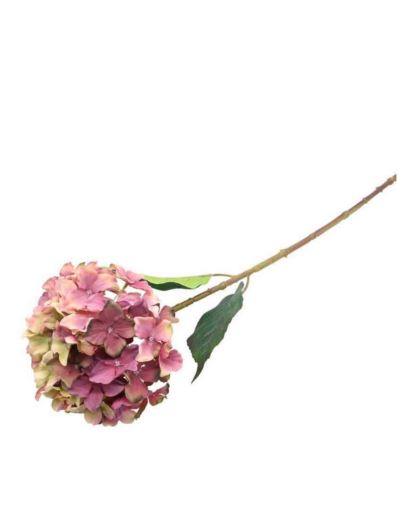 HORTENSJA POJEDYNCZA 68CM MAUVE GREEN
