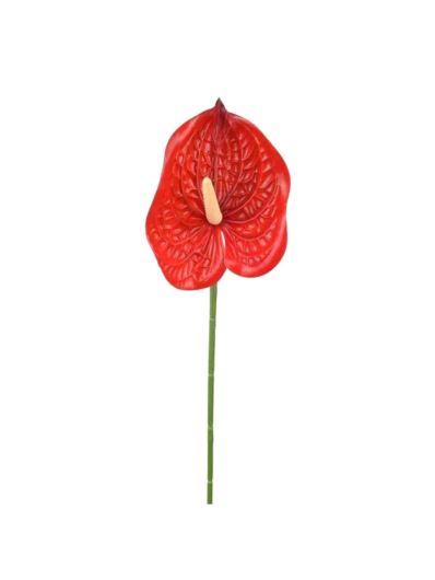ANTURIUM POJEDYNCZE 74CM RT RED