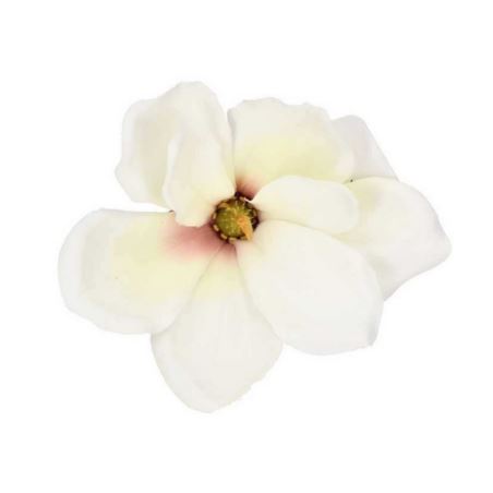 MAGNOLIA GŁÓWKA Z KLIPSEM 16CM CREAM WHITE