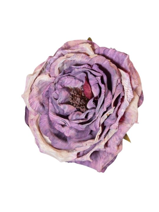 PEONIA WYROBOWA
