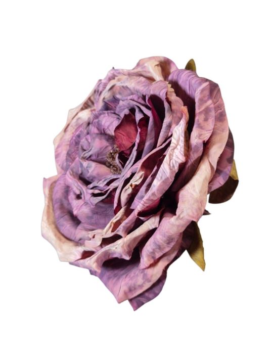 PEONIA WYROBOWA