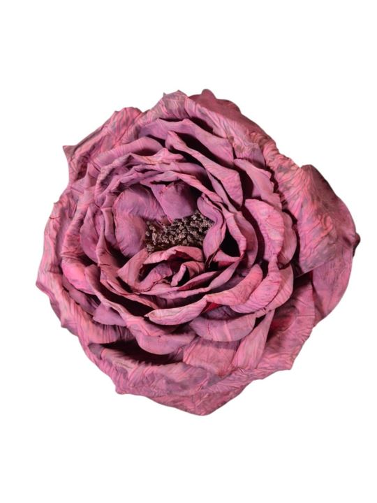 PEONIA WYROBOWA