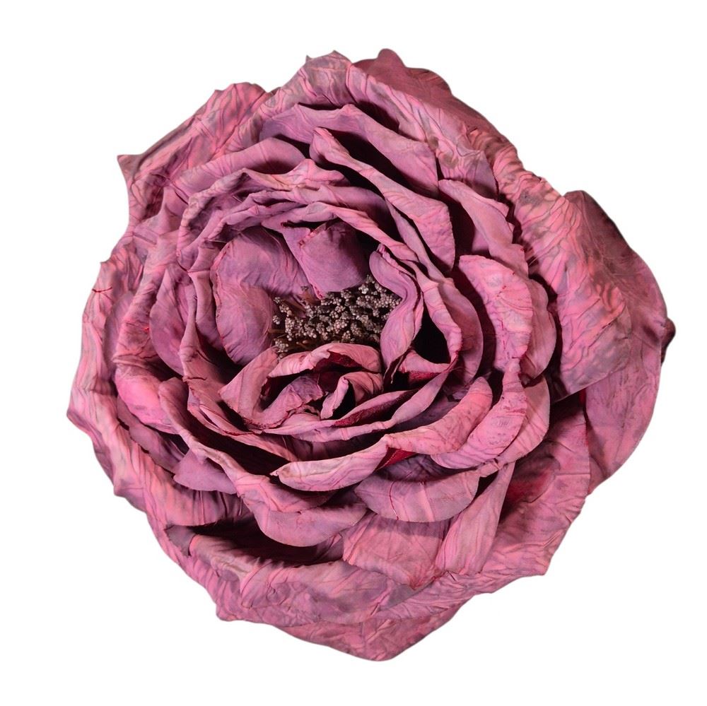 PEONIA WYROBOWA