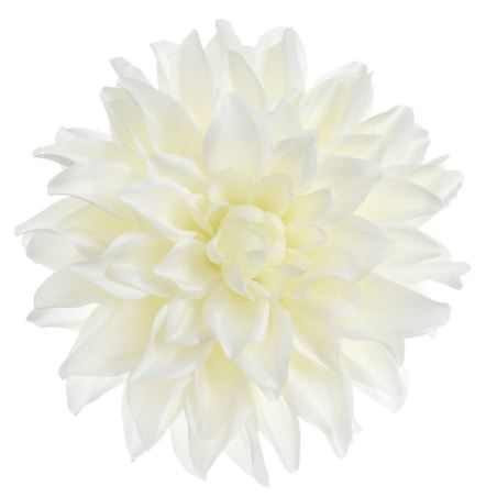 DALIA GŁOWA 18CM ART285 WHITE GREEN
