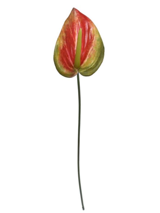 ANTURIUM MAŁE 45CM DON012 (5) RT RED GREEN