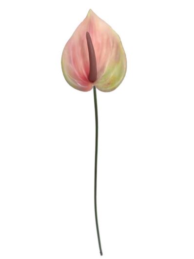 ANTURIUM MAŁE 45CM DON012 (5) RT PEACH