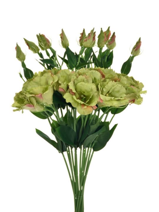 EUSTOMA NA PIKU 47CM SUN357 DEEP GREEN