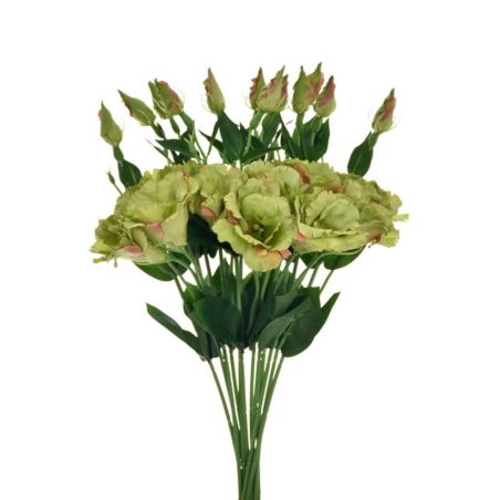 EUSTOMA NA PIKU 47CM SUN357 DEEP GREEN
