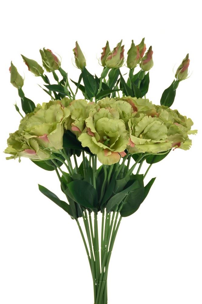 EUSTOMA NA PIKU 47CM SUN357 DEEP GREEN