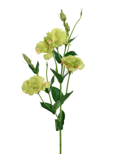 EUSTOMA GAŁĄZKA 83CM SUN345 DEEP GREEN