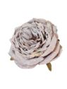 PEONIA WYROBOWA 11CM AUTUMN LT PINK