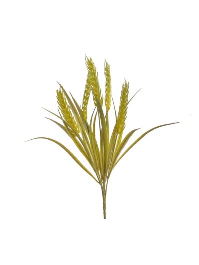 PSZENICA KŁOSY PĘCZEK 38CM DK GREEN
