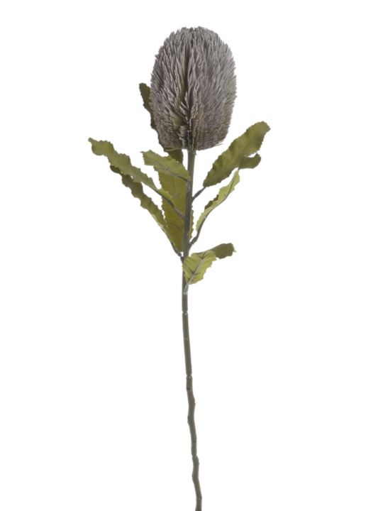 BANKSJA POJEDYNCZA 65CM GRAY GREEN VIOLET