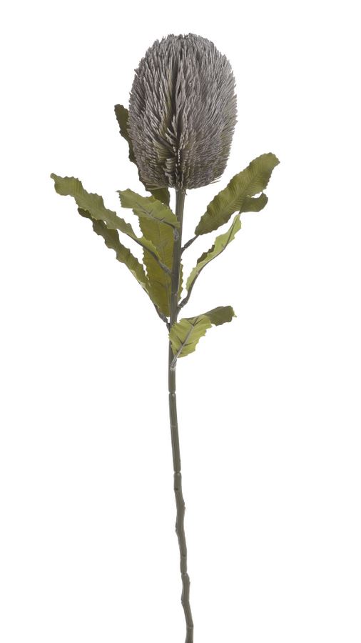 BANKSJA POJEDYNCZA 65CM GRAY GREEN VIOLET