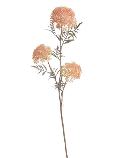 ALLIUM CZOSNEK OZDOBNY GAŁ. 37CM AUTUMN LT PINK