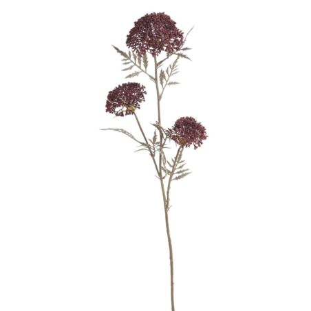 ALLIUM CZOSNEK OZDOBNY GAŁ. 37CM AUTUMN BURGUNDY