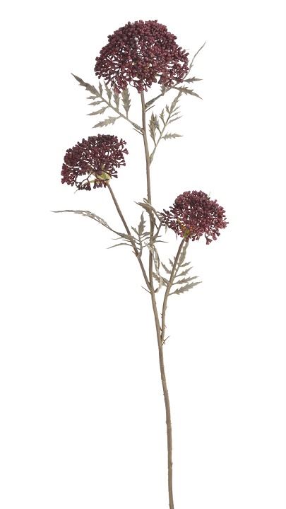ALLIUM CZOSNEK OZDOBNY GAŁ. 37CM AUTUMN BURGUNDY