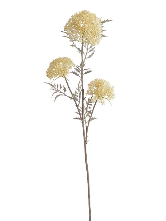 ALLIUM CZOSNEK OZDOBNY GAŁ. 37CM AUTUMN CREAM