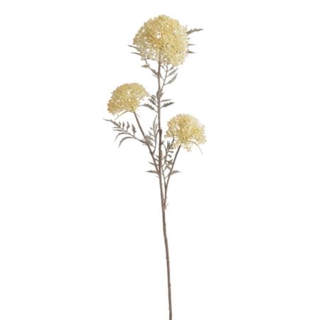 ALLIUM CZOSNEK OZDOBNY GAŁ. 37CM AUTUMN CREAM