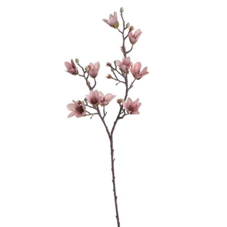 MAGNOLIA DROBNOKWIATOWA GAŁ. 90CM AUTUMN MAUVE