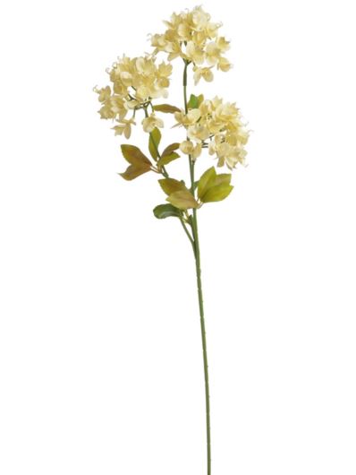 WILCZOMLECZ EUPHORBIA GAŁĄZKA 69CM AUTUMN CRM