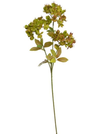 WILCZOMLECZ EUPHORBIA GAŁĄZKA 69CM AUTUMN GRN