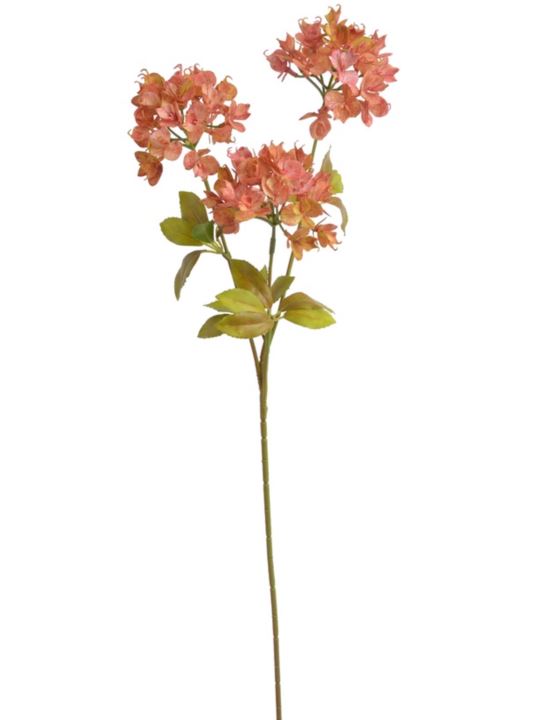 WILCZOMLECZ EUPHORBIA GAŁĄZKA 69CM AUTUMN ORG