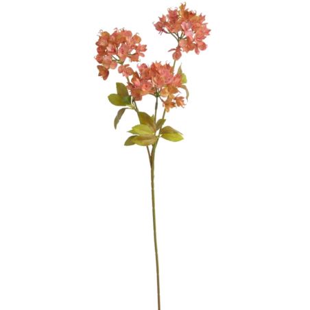 WILCZOMLECZ EUPHORBIA GAŁĄZKA 69CM AUTUMN ORG
