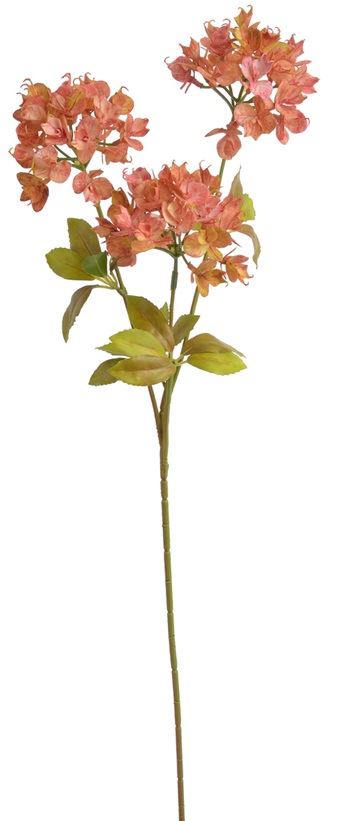WILCZOMLECZ EUPHORBIA GAŁĄZKA 69CM AUTUMN ORG