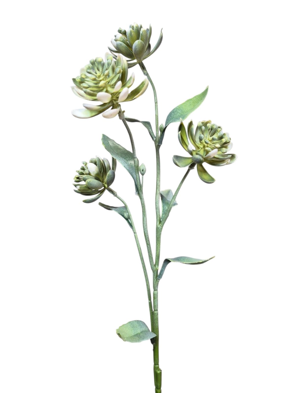sukulent gałązka 67cm